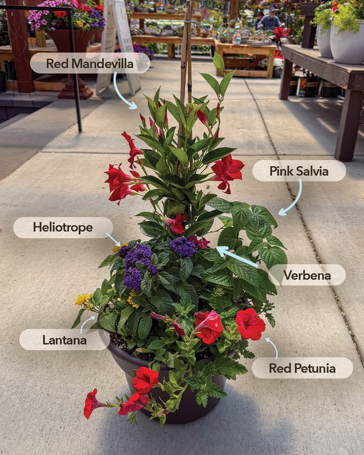Learn how to make this container perfect for your favorite p