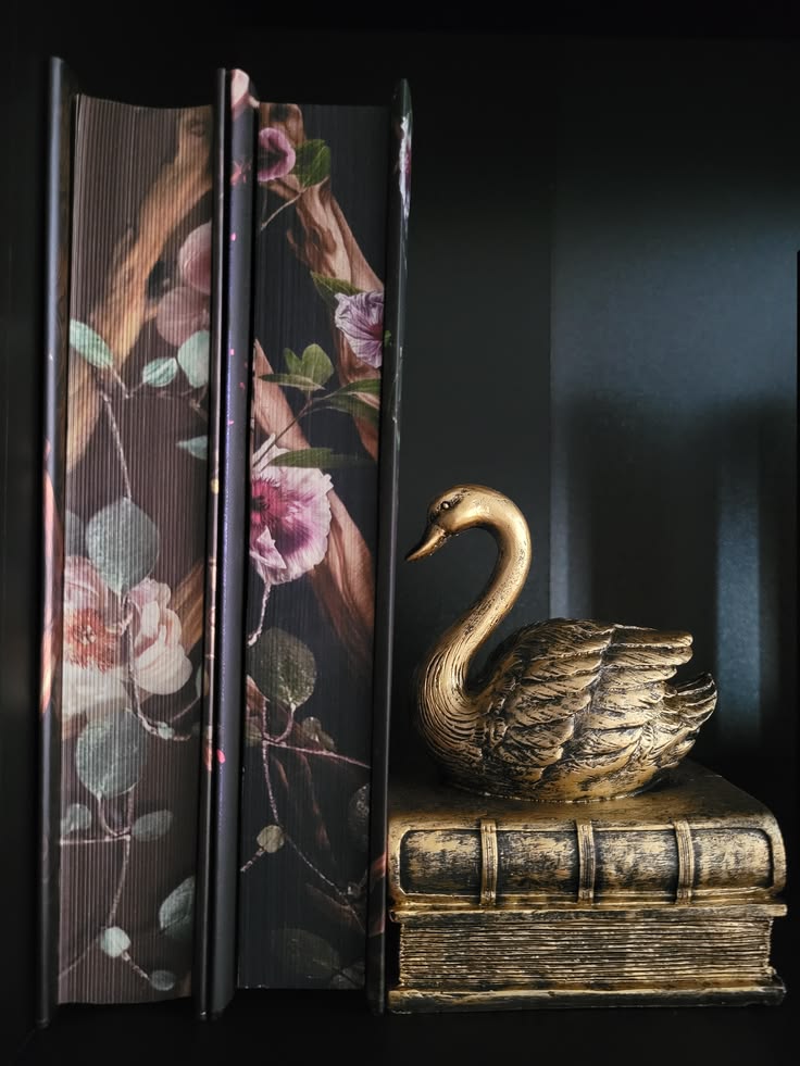#books #bookshelf #booklover #roomdecor #aesthetic