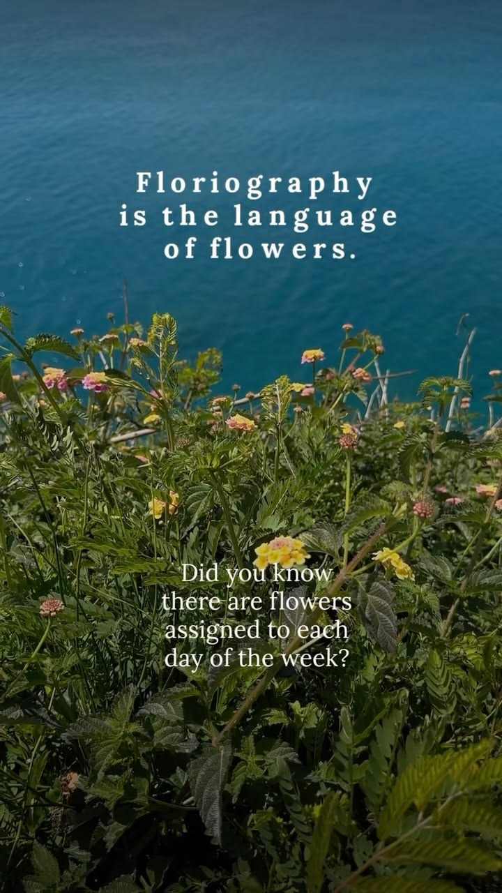 So that means today, Thursday, is a lucky day! Wishing you a