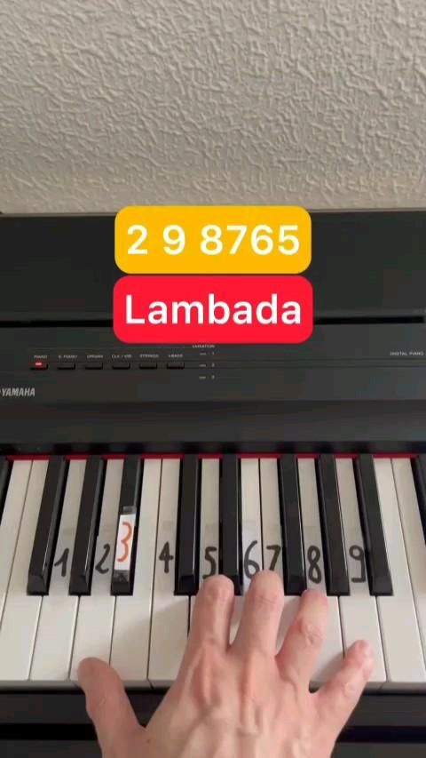 #classicialmusician #pianolovers #pianosolo #piano #playingp