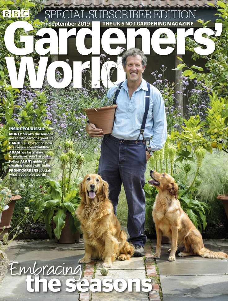 Cover photo: Monty, Nigel and Nellie in Longmeadow’s Paradis