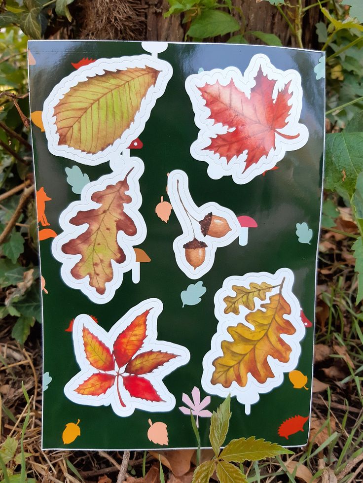 Sticker Sheet Herbstblätter, Sticker Herbst, 6 verschiedene 