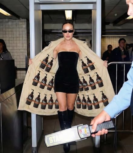Airport security: “Ma’am, do you have any liquids to declare