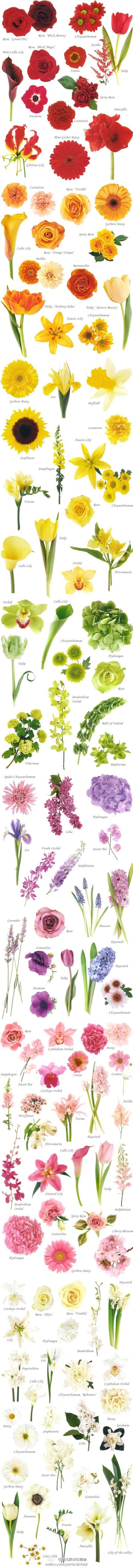 Flower Chart... Handy