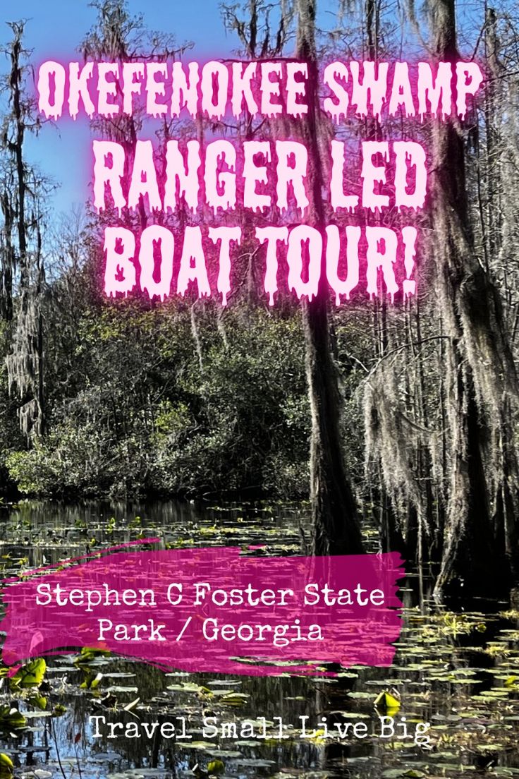 Want to see the swamp up close and personal?  A ranger led b