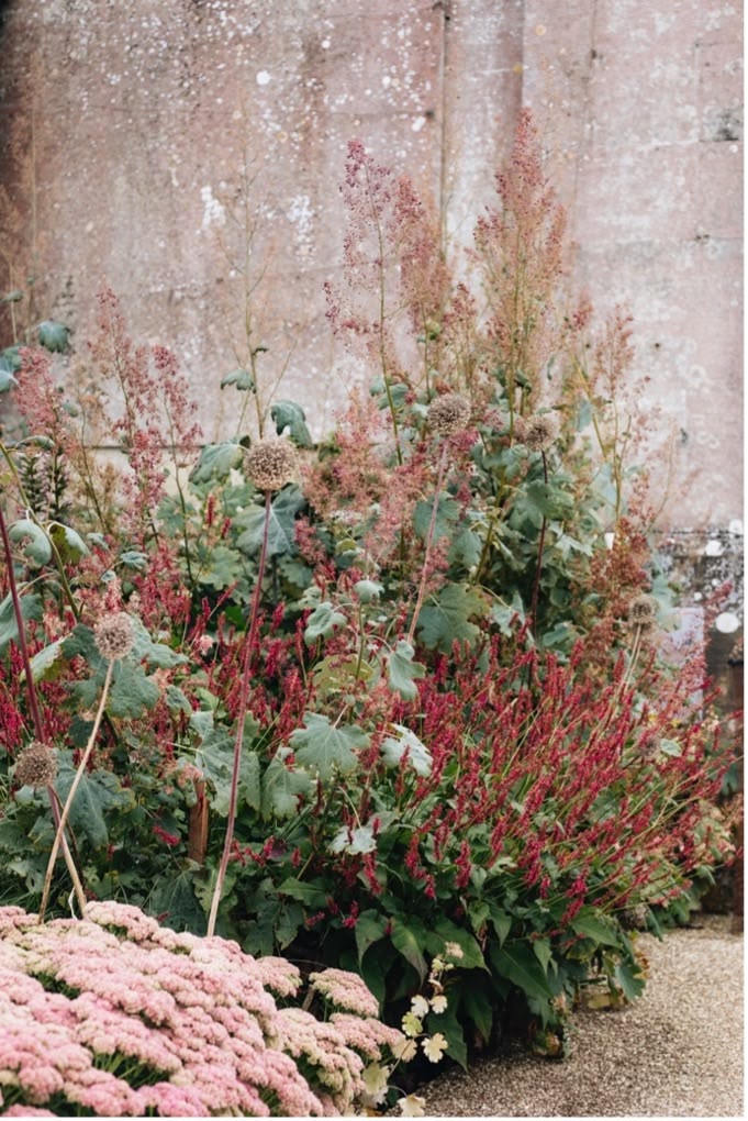 What to plant to create a bold, romantic scheme in a classic