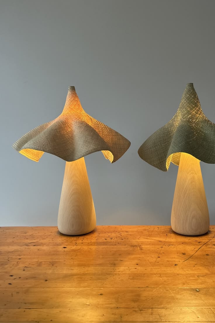 The Posie Lamp by Twenty One Tonnes was inspired by the Ange