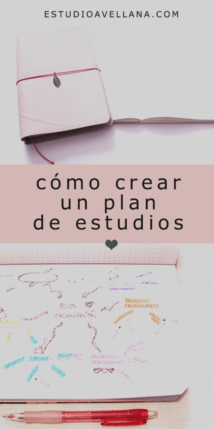 Ideas para tener una organización en el estudio : el plan de
