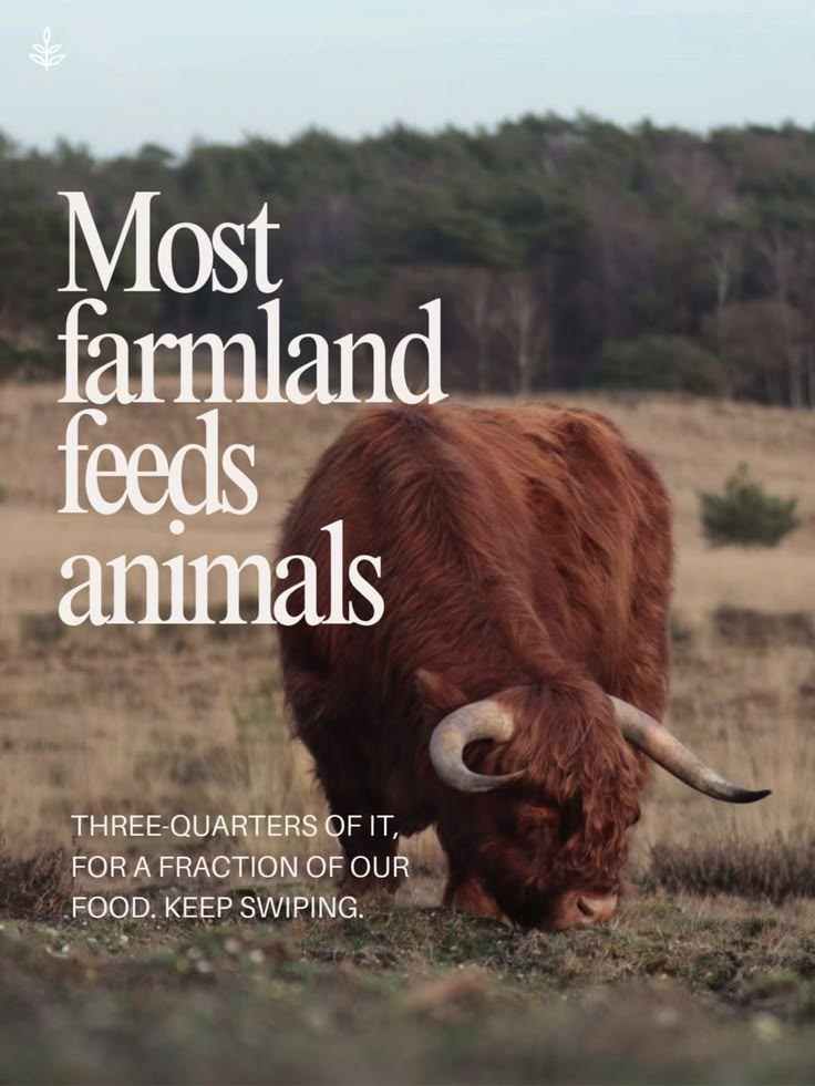 Three-quarters of the world's farmland is used for livestock