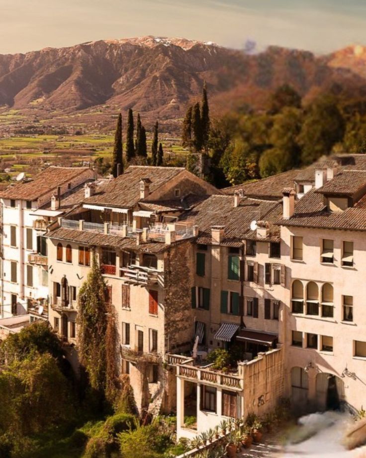 Solane was born of tradition, vision, and craftsmanship, a c