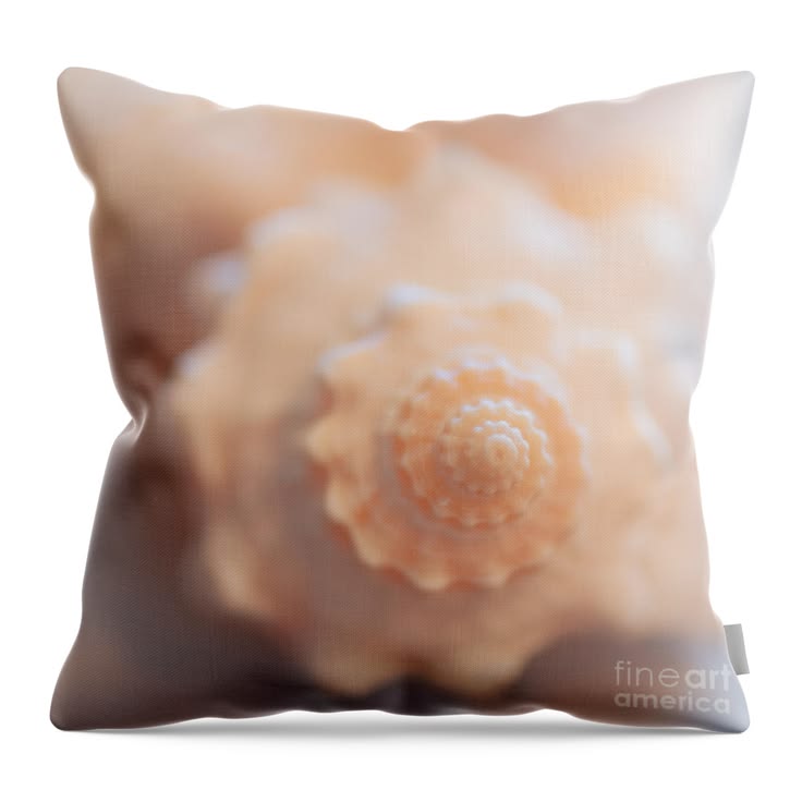 If coastal aesthetic is your decor of choice, add some seash