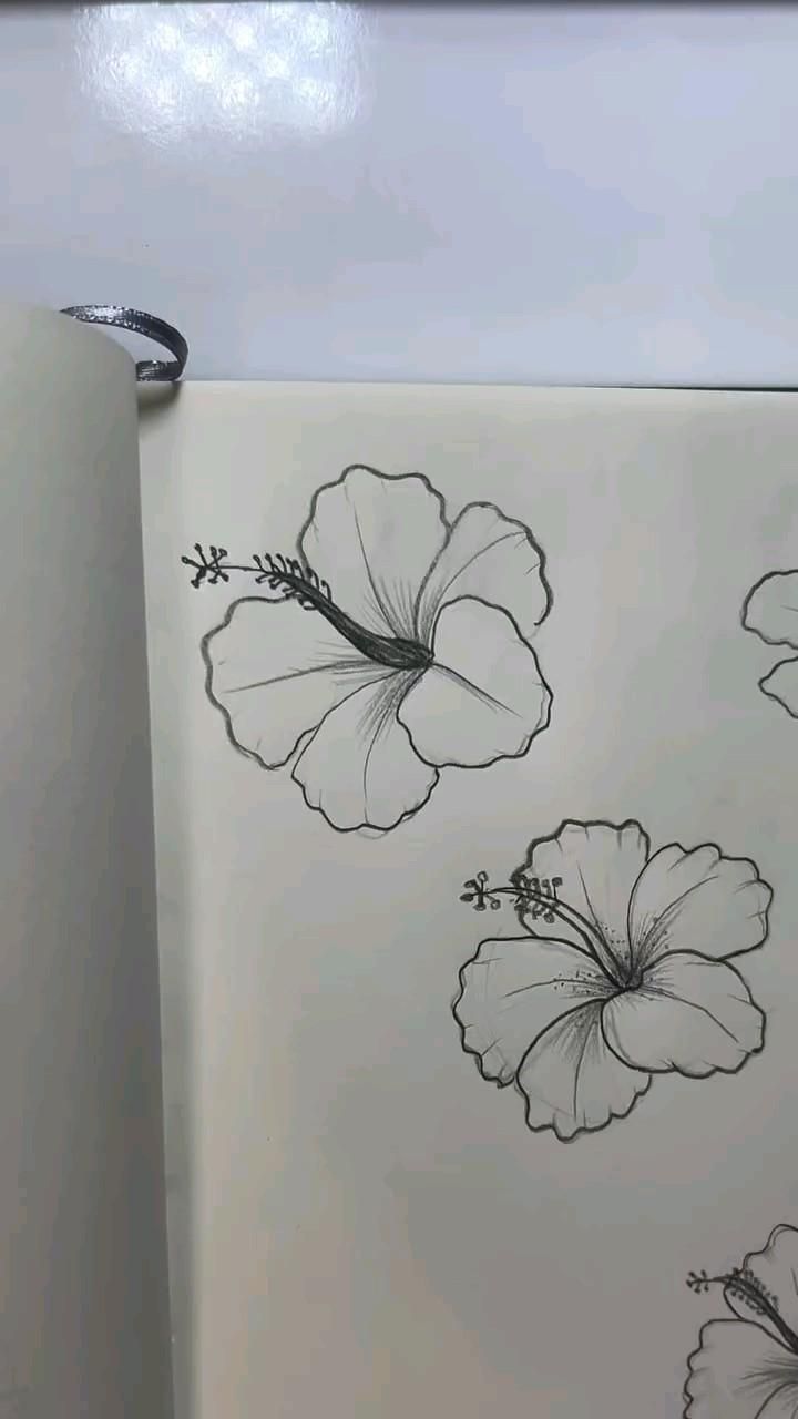 credit: bellepalettee - on ig