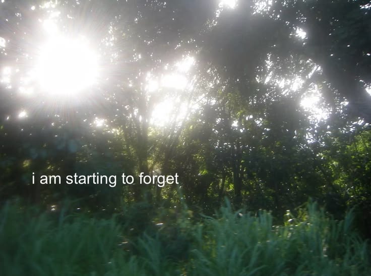 i am starting to forget 

photo by @digidiaryarchive ⭐️