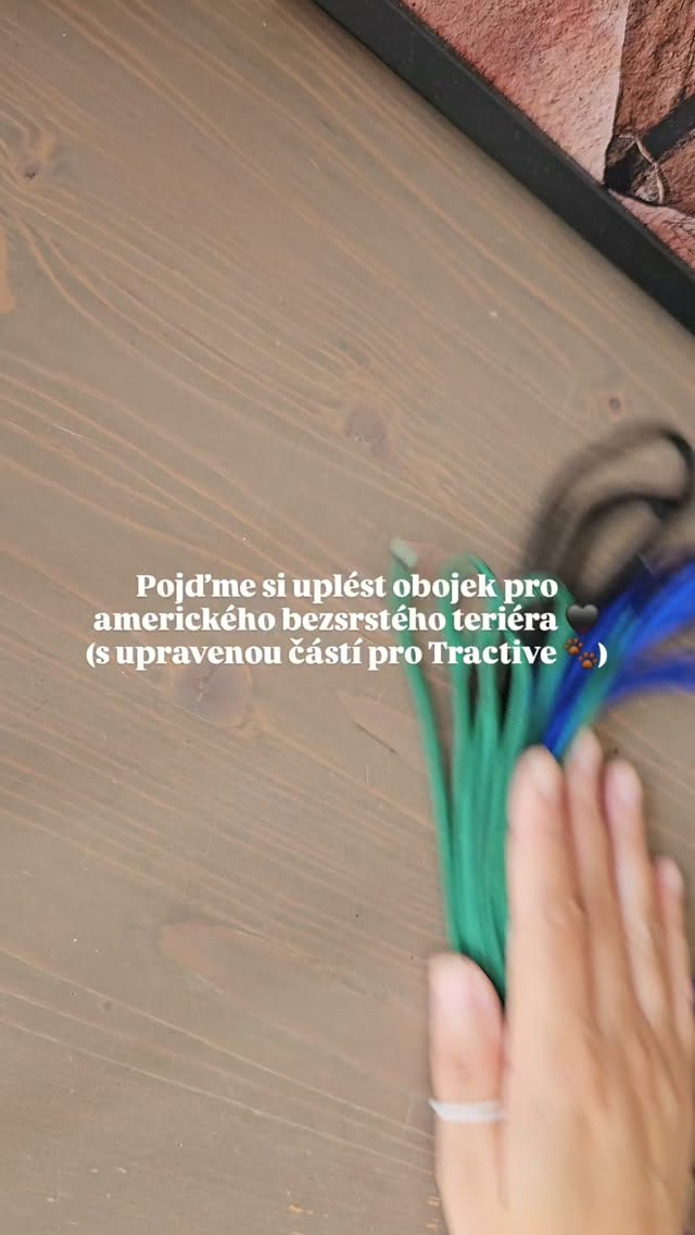Šel by uplést obojek, na který by šel nasadit Tractive?🤔
Ano
