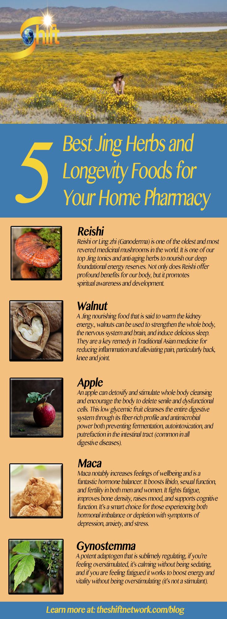 5 Best Jin Herbs and Longevity Foods for Your Home Pharmacy 