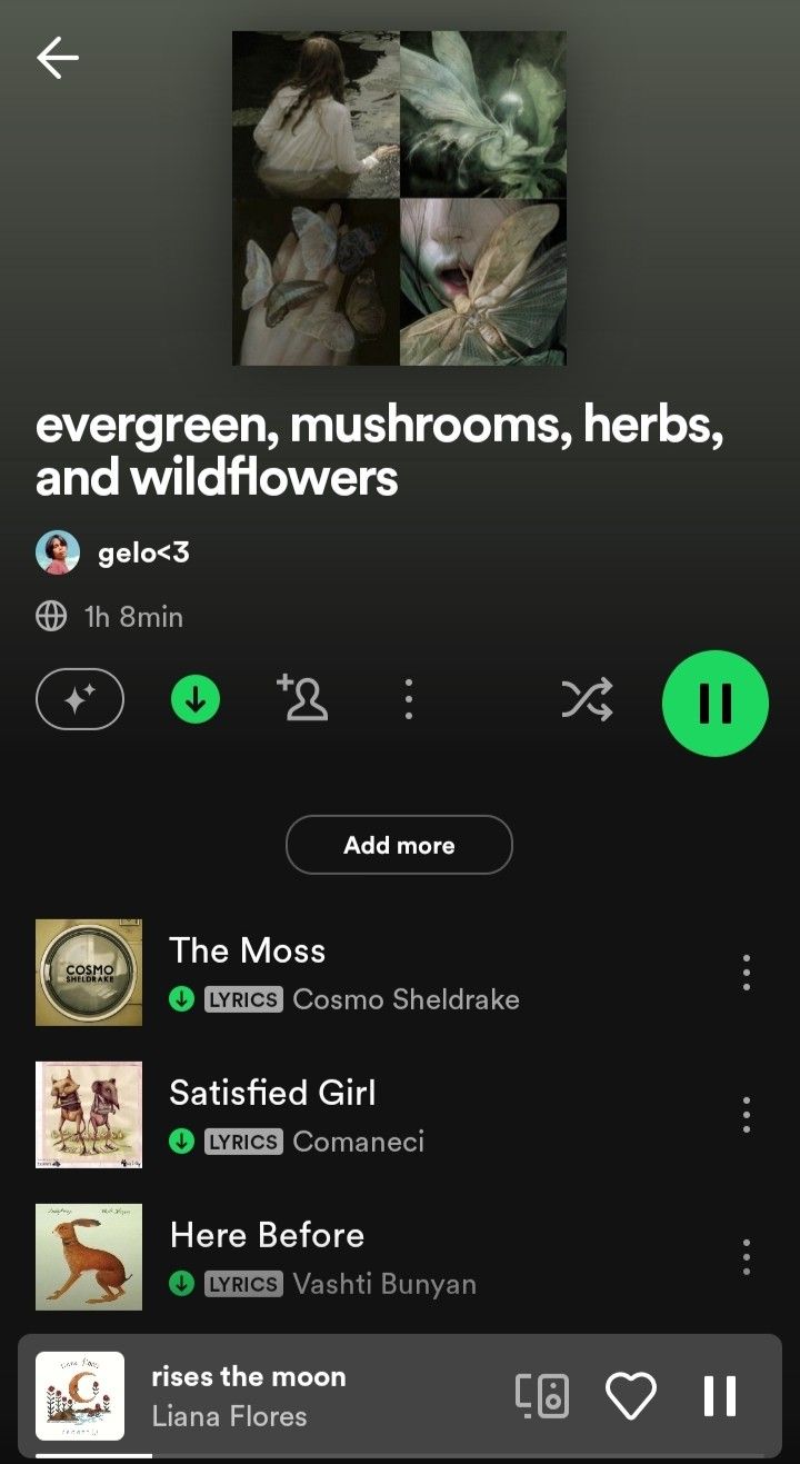 recently made spotify playlist for people who loves goblinco