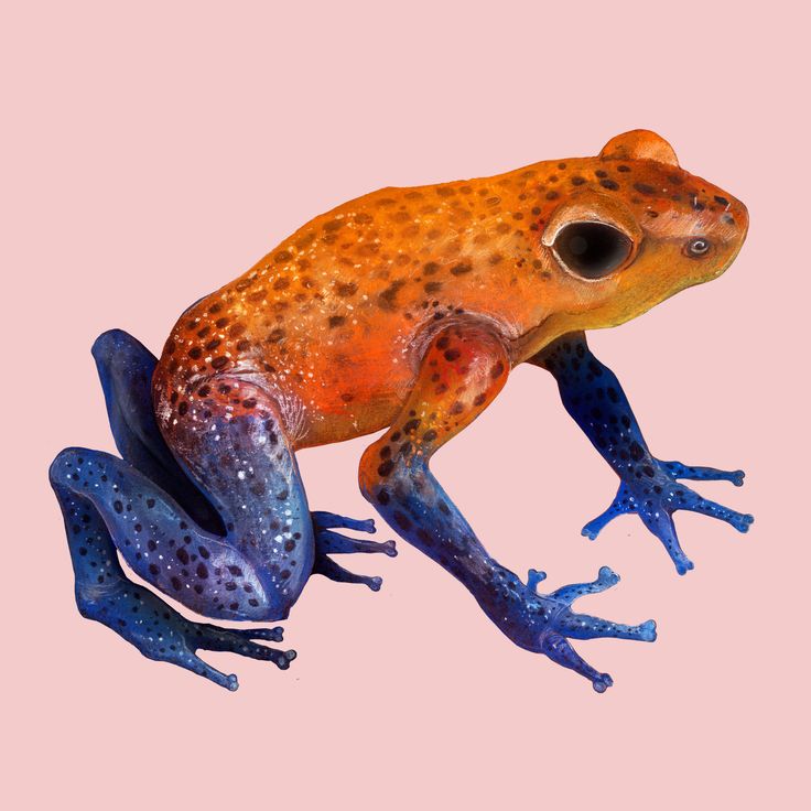 Poison Dart