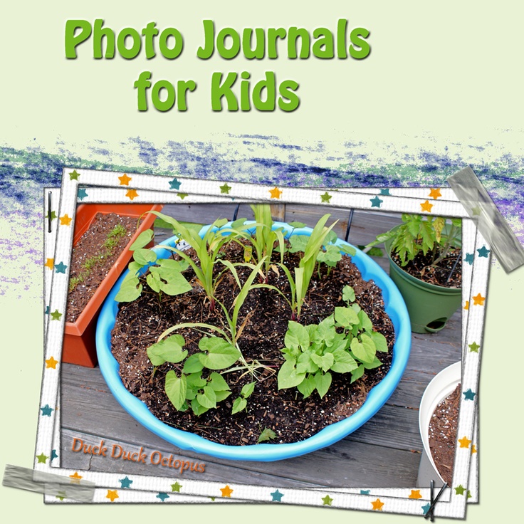Photo journals allow young children to record observations i