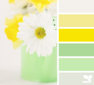 Daisy Brights (photo courtesy ~ design-seeds.com) #FireAndRa