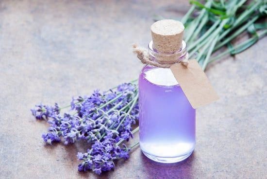 Fantastic Essential Oil Fungus Tips And Strategies For essen