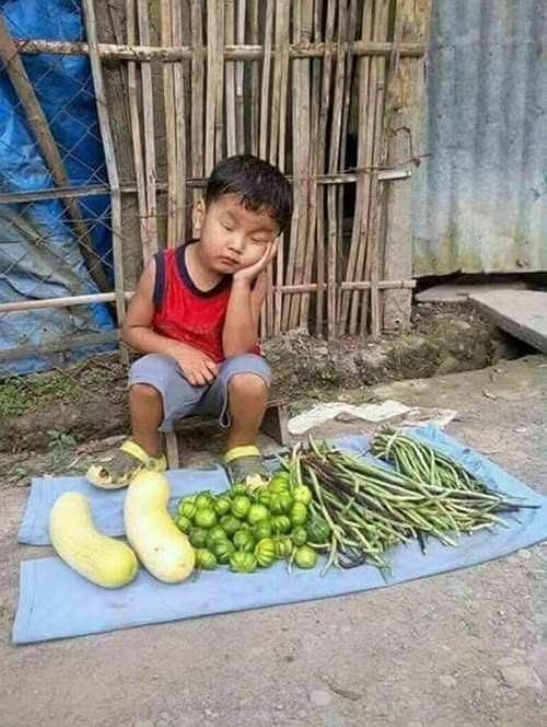 Tuổi thơ vất vả