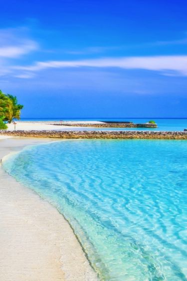 In the melody of waves and whispers of palm trees, find a wo