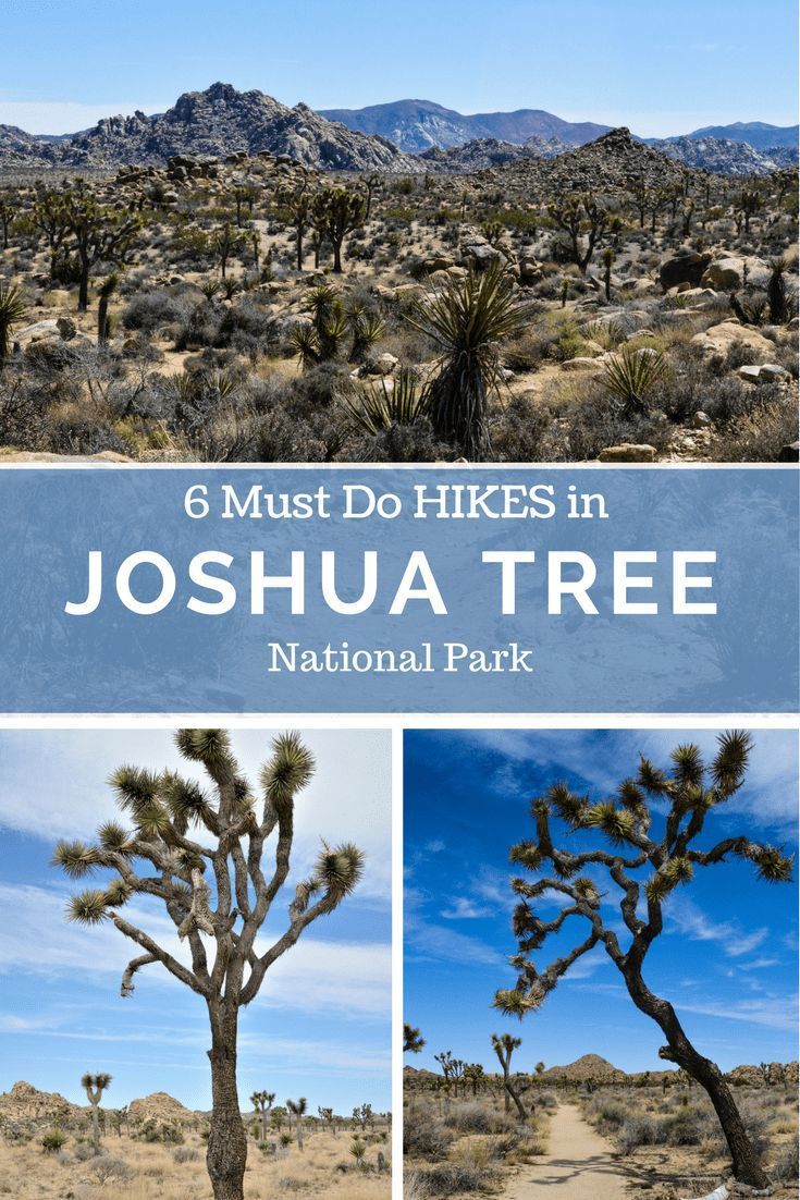 6 Must Do Hikes: Joshua Tree National Park - the unending jo