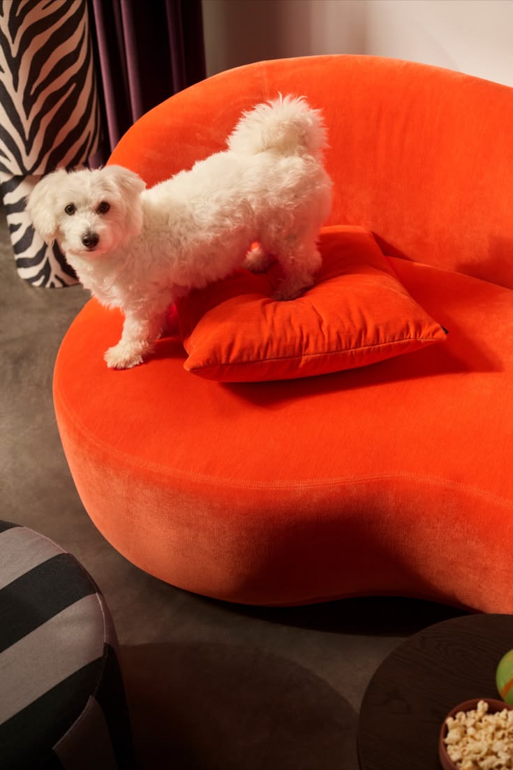 A statement sofa deserves a little company🧡

Think animal pr