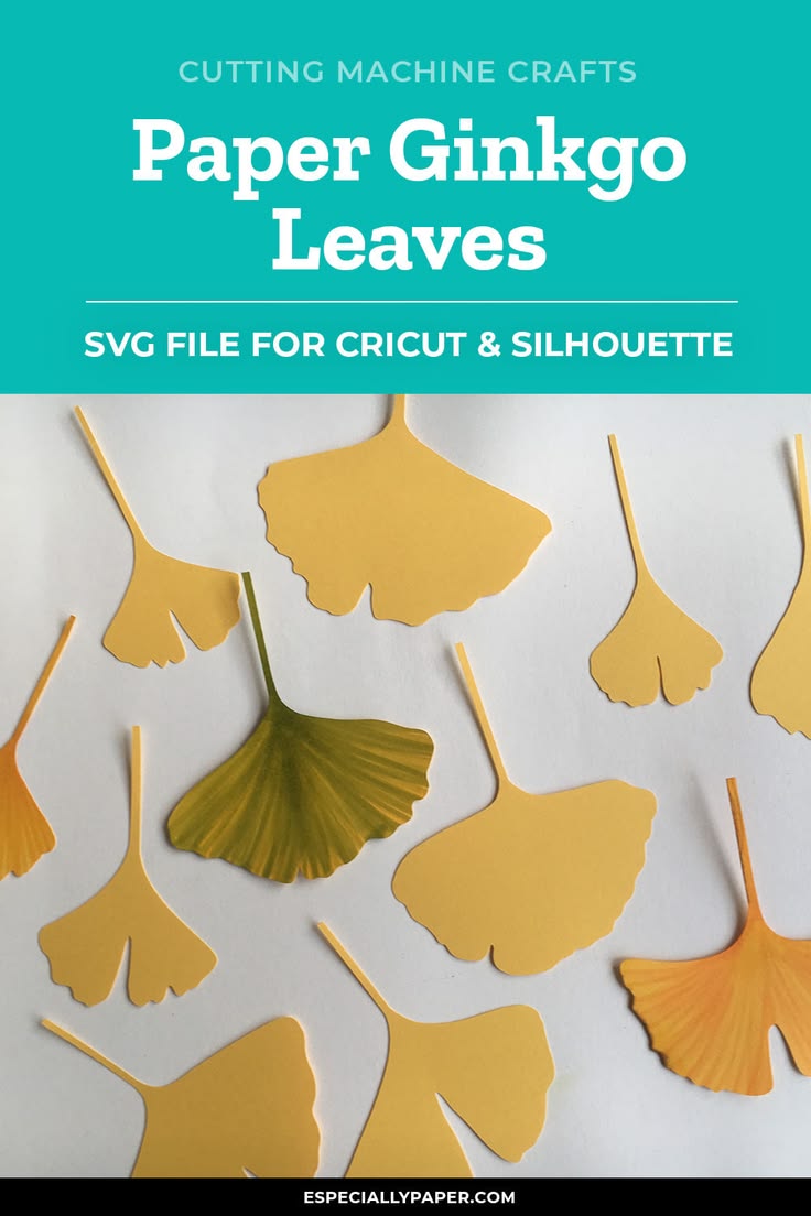 A paper ginkgo leaf template — the distinctive fan-shaped le