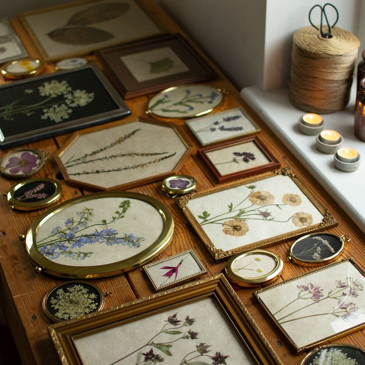 Beautiful pressed flowers, gorgeous handmade paper, stunning