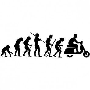 Imagen insertada