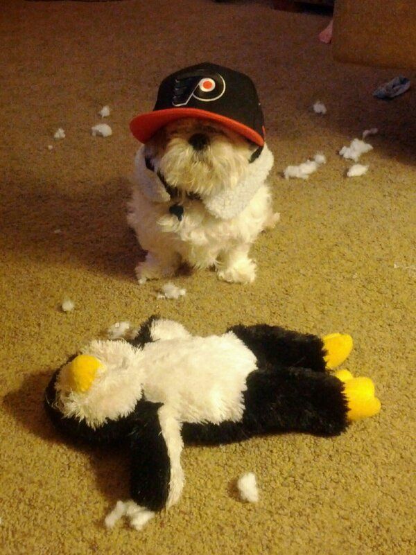 Flyers hockey!!!!