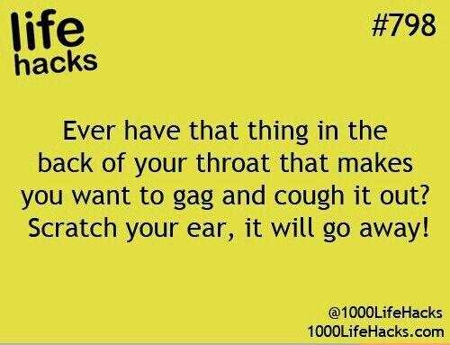 Life hack #798