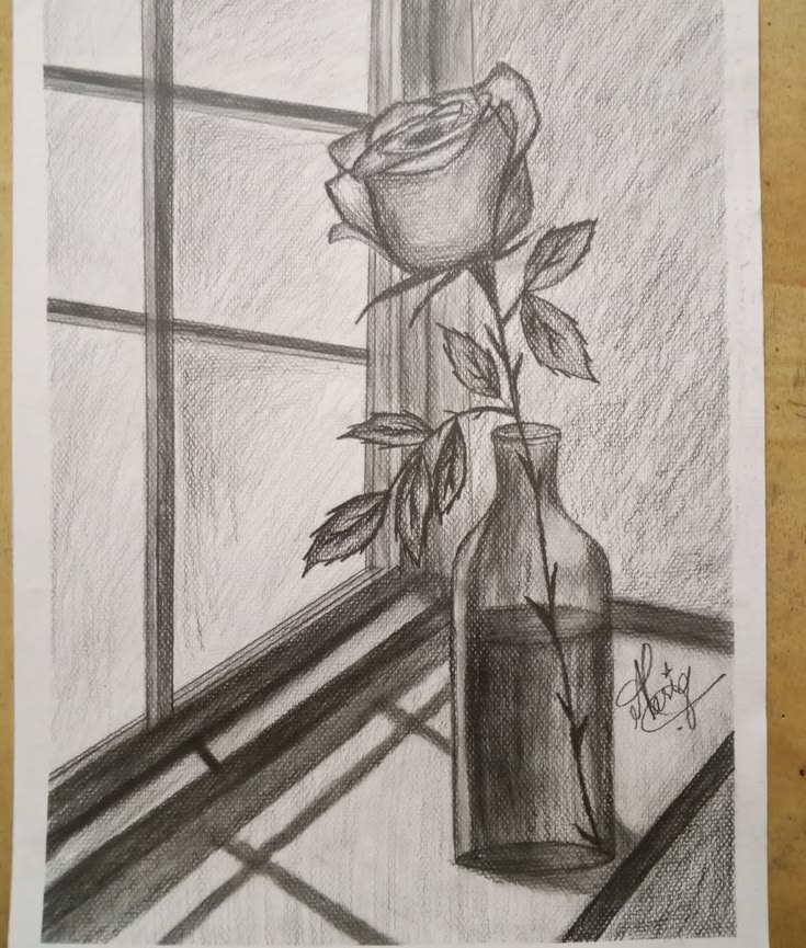 Still life 🍁
