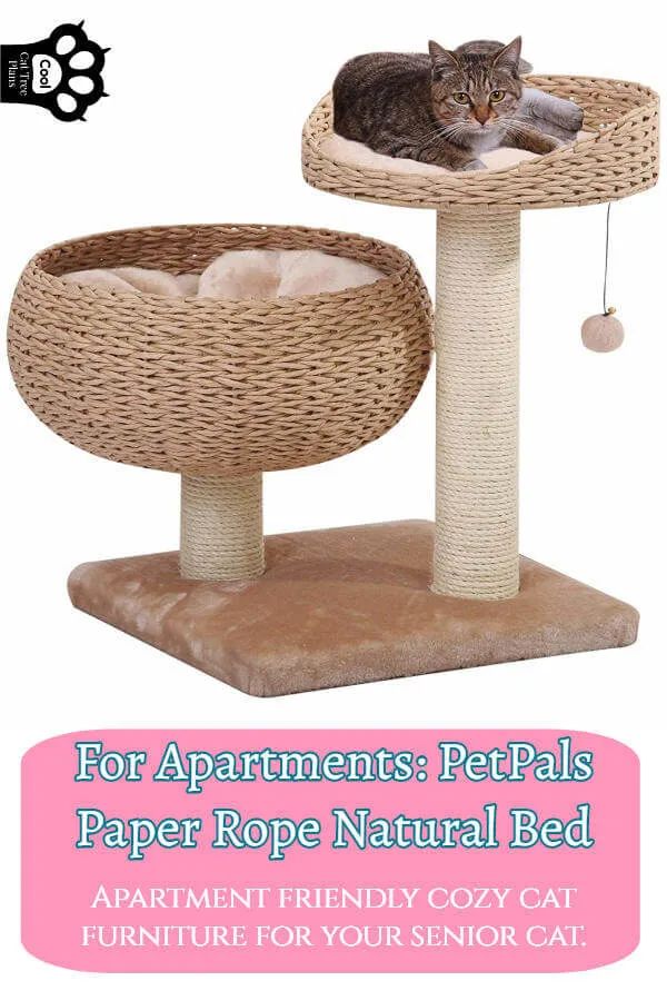 The Best Cat Tree For Older Cats - Cool Cat Tree Plans