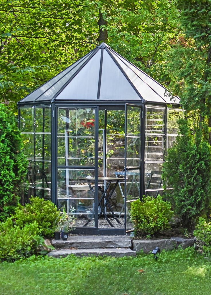 This aluminum greenhouse lets you grow vegetables, plants an