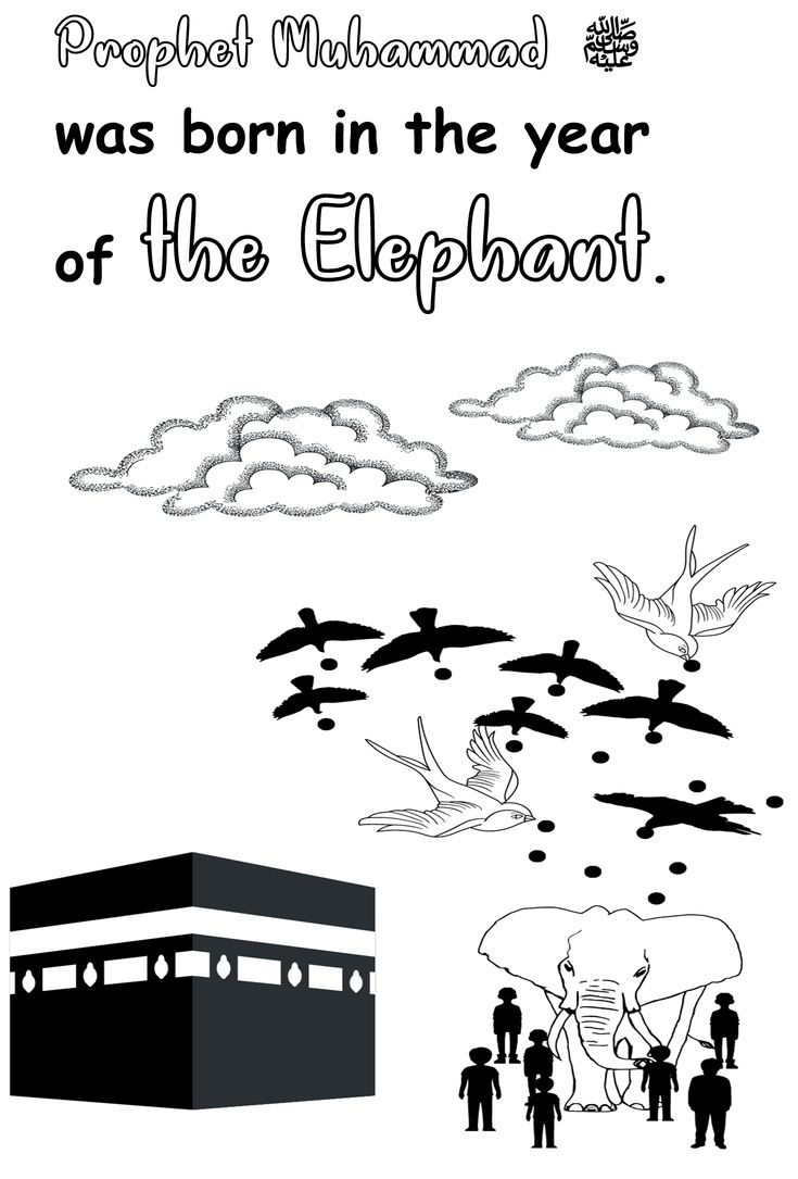 Prophet Muhammad صلى الله عليه وسلم was born in the year of 