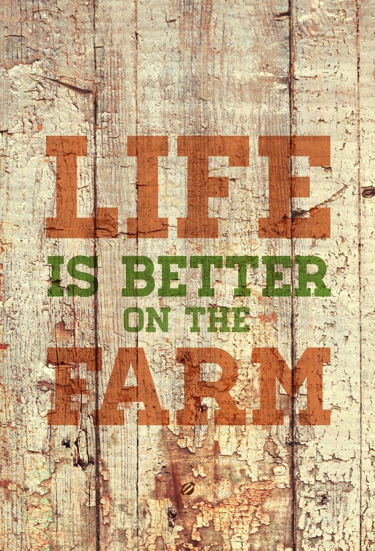 #LostBumblebee ©2014 Life is Better on the #Farm -Free Print