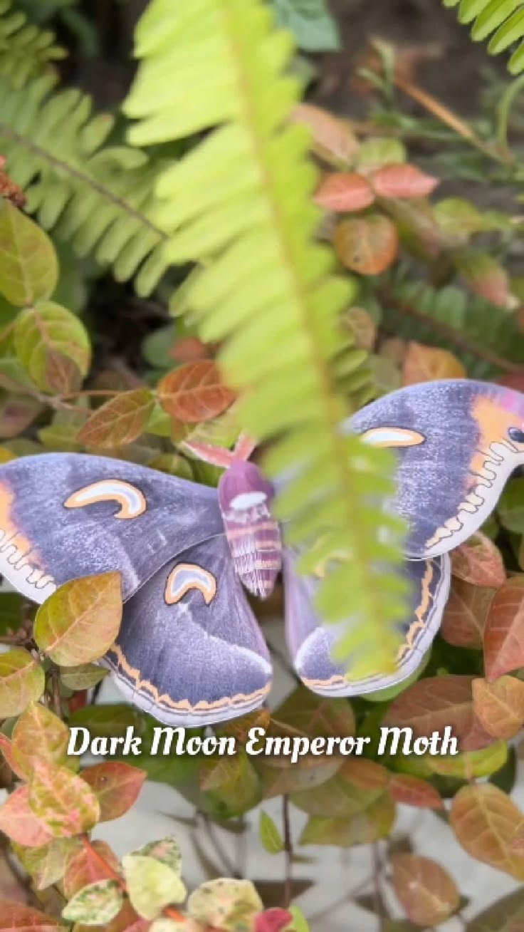 DIY Realistic 3D paper moths, perfect for home decor and a f
