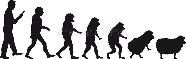 Human Evolution sheep. Evolution human into a sheep , #Aff, 