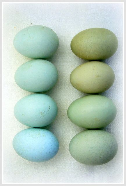 just love the colors!
