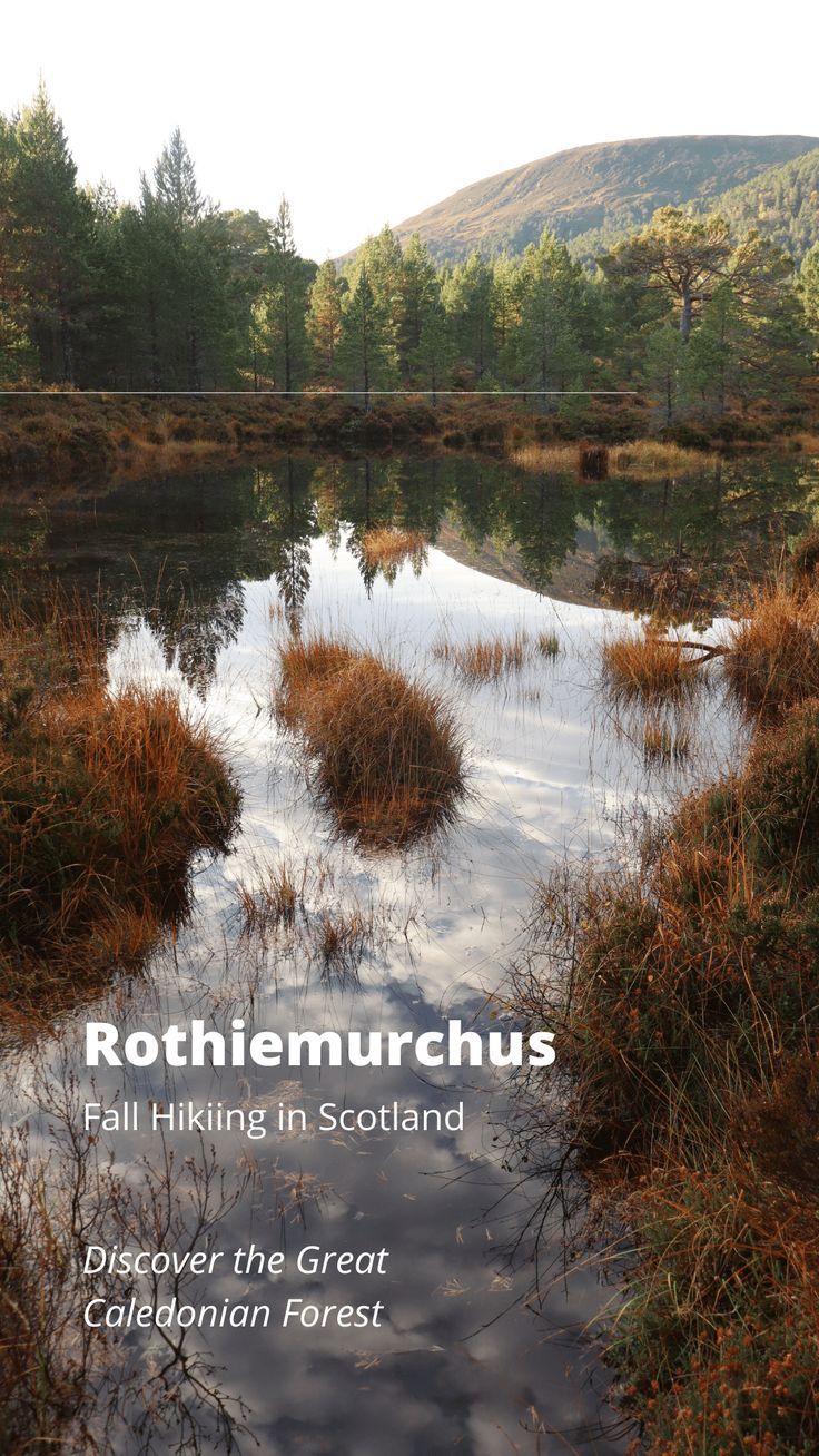 Discover the Great Caledonian Forest and one of Scotland's b