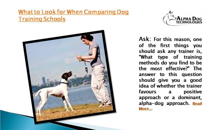Ask: For this reason, one of the first things you should ask