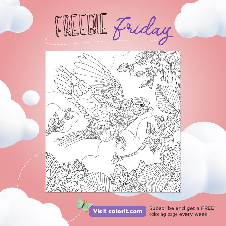 Add life to this beautiful bird's wings by coloring this wee