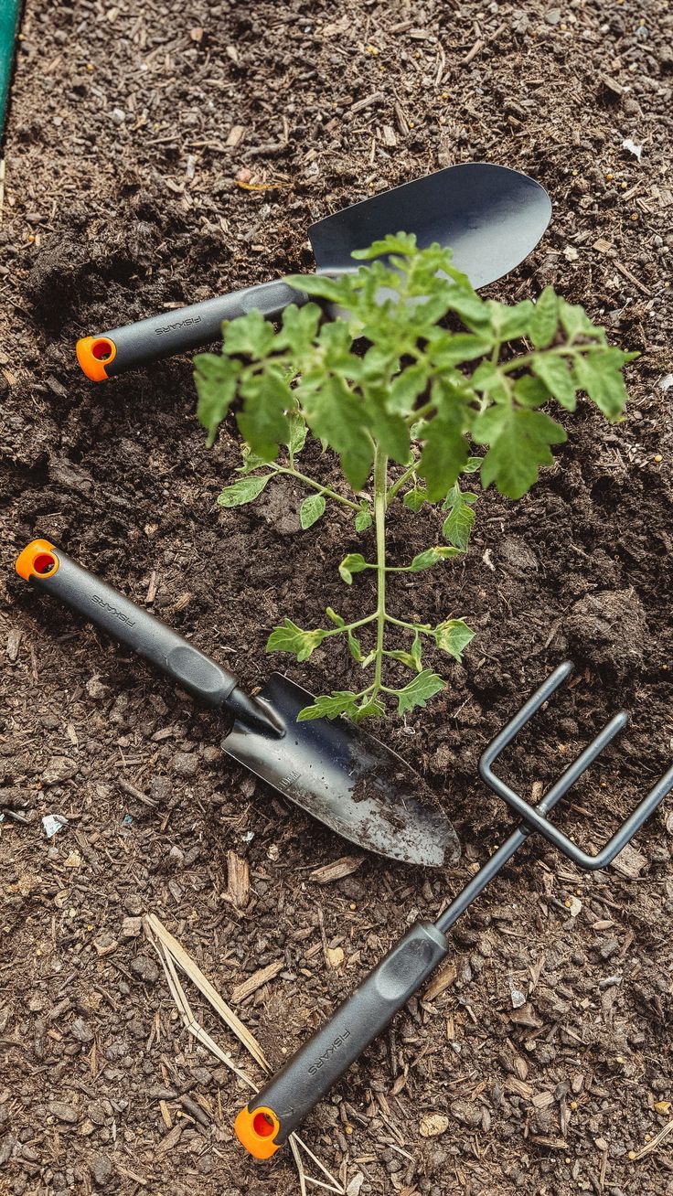 Y’all, run to @target because @fiskars gardening supplies ar