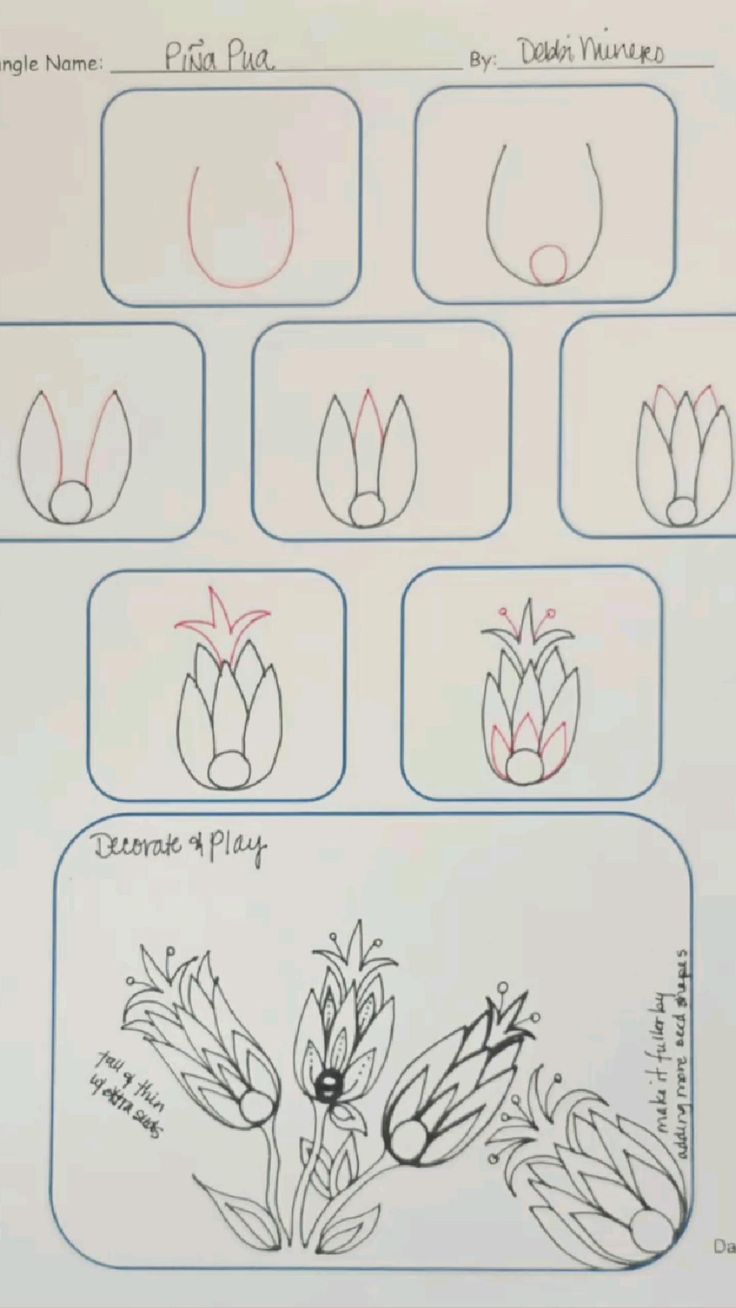 #pinapua #120