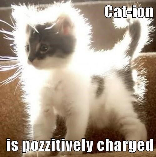 Cat-Ions are pozzitively charged! I get it because I'm actua