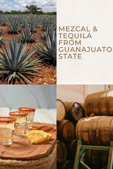 Guanajuato can proudly boast to be a producer of mezcal and 