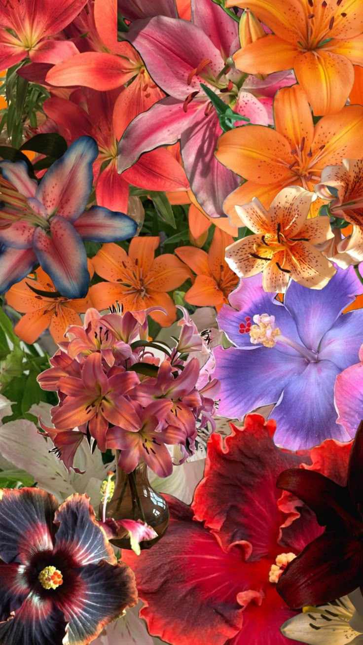 fav flower…