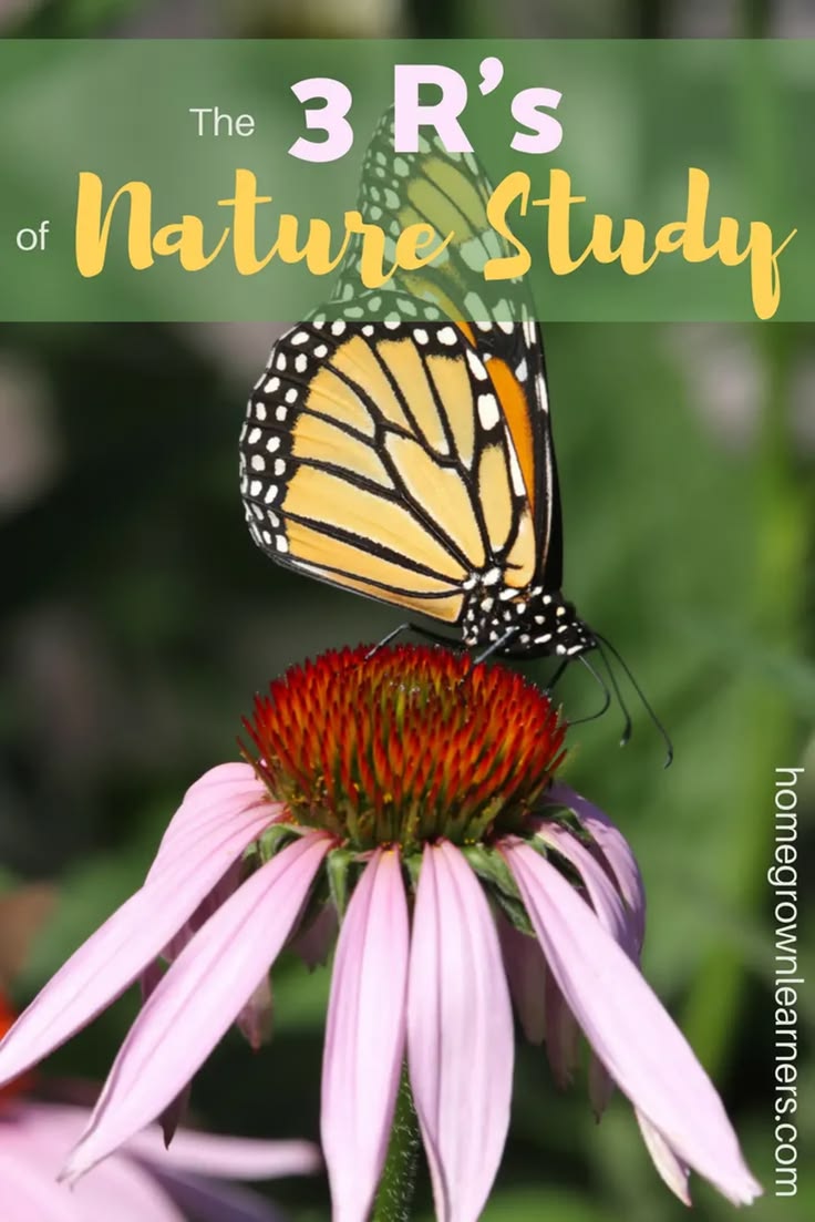 Do you neglect nature study because it is something you don'